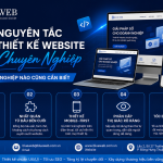 5 Nguyên Tắc Thiết Kế Website Chuyên Nghiệp Mà Doanh Nghiệp Nào Cũng Cần Biết