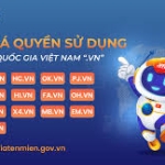 Việt Nam lần đầu đấu giá tên miền '.vn'