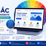 Màu Sắc Trong Thiết Kế Website Ảnh Hưởng Đến Hành Vi Người Dùng Như Thế Nào?