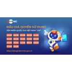 Việt Nam lần đầu đấu giá tên miền '.vn'