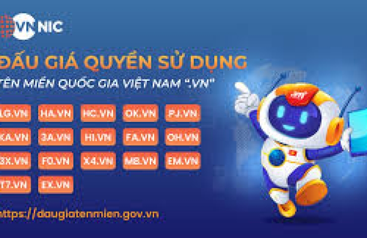 Việt Nam lần đầu đấu giá tên miền '.vn'