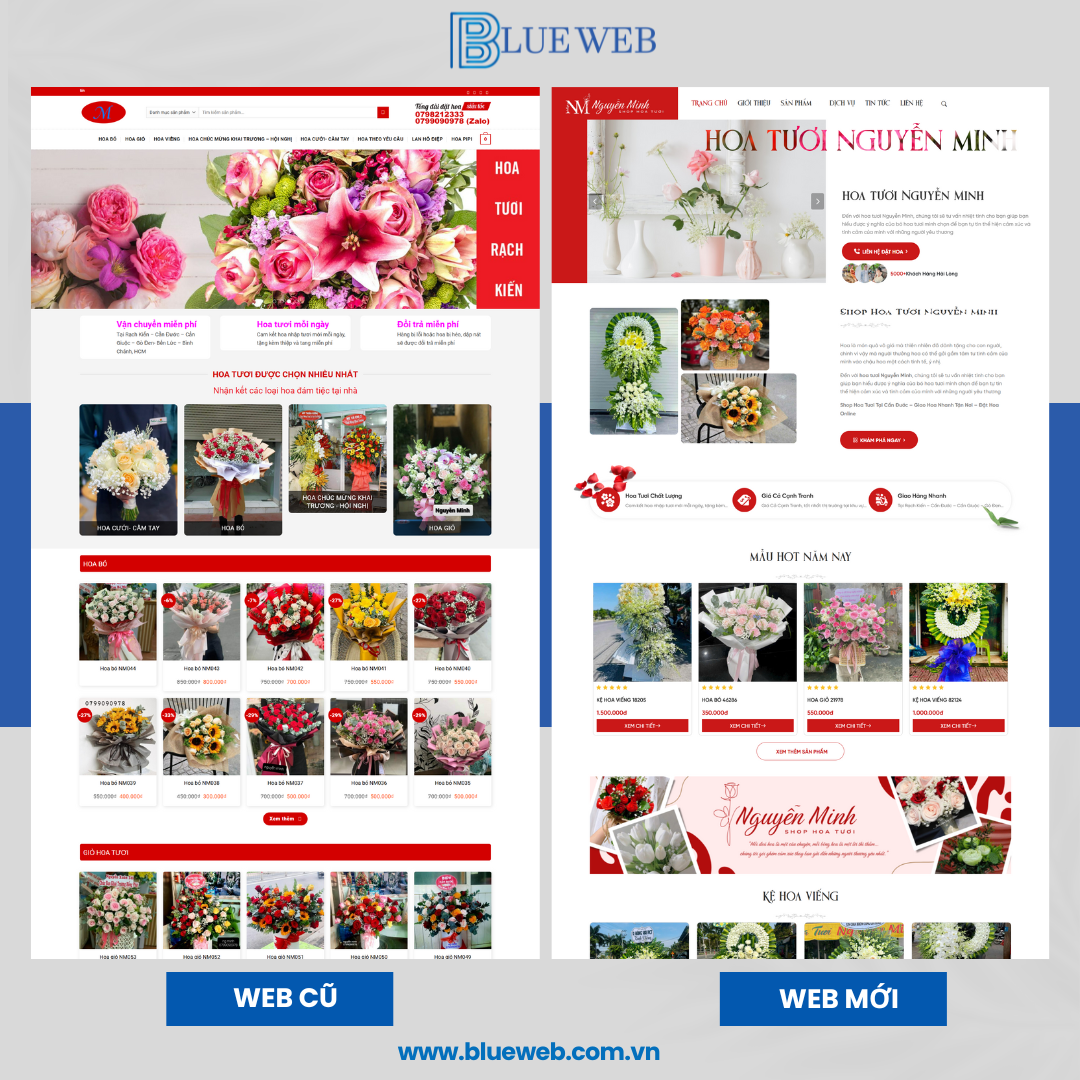 Nâng cấp - Sửa chữa website